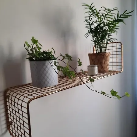 W Centrum Wroclawia Apartament